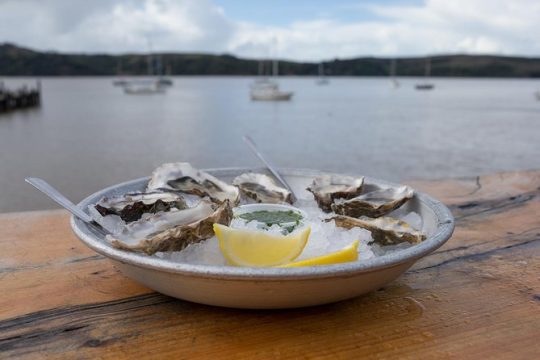 Customized, Private Sonoma Coast Food Wine Tour Cheese, Honey, Oysters Tasting