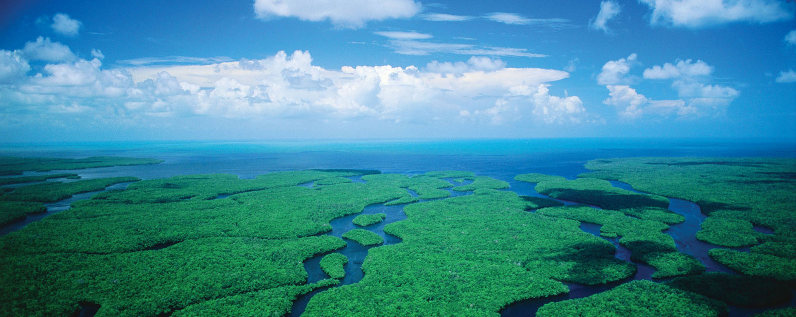 Top Picks for a Miami Everglades Airboat Adventure (Updated September 2026)