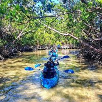 Eco Tours