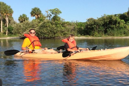One Tandem Kayak Rental for 2 hours with Manatee & Dolphin sightings!