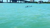 Dolphin cruise captain was excellent!!