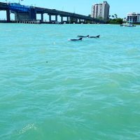 Private & Custom Tours