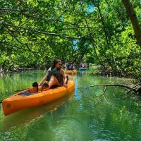 Cruises, Sailing & Water Tours