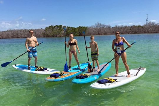 Explore the Mangrove Creeks with All Day Stand up Paddleboard Rental