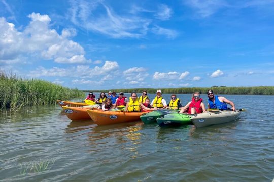 2-Hour Guided Kayak Nature Tour of Hilton Head