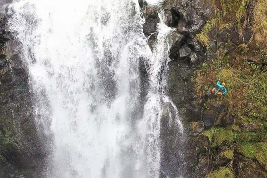 Waterfall Rappelling at Kulaniapia Falls: 120 Foot Drop, 15 Minutes from Hilo
