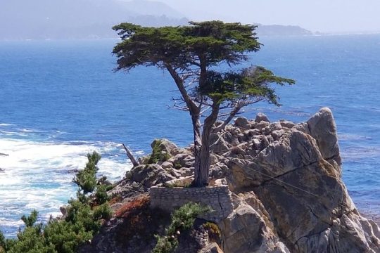 Private Tour to Monterey, 17-Mile Drive, Pebble Beach, & Carmel