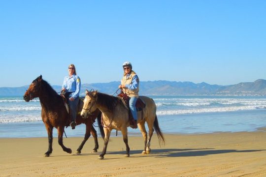 Horseback Ride & Alcatraz Prison Tickets