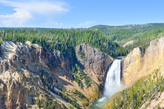 Classic Yellowstone National Park Lower Loop Picnic Lunch Tour