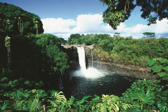 Cruise Ship Excursion: Volcanoes National Park and Rainbow Falls