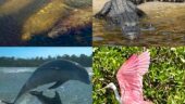 Fun times in the Everglades! 