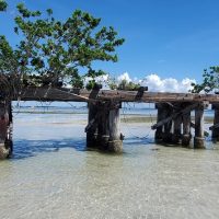Full-day Tours