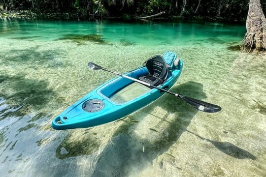 Glass Bottom Kayak Mini Jungle Cruise - 1 Hour Tour