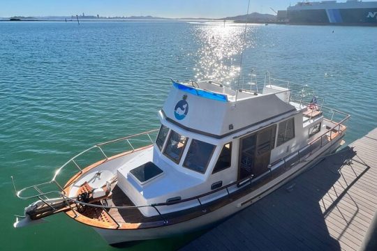 Sailing on Blue Skies on San Francisco Bay up to 6 people