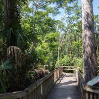 Audio Guided Tours