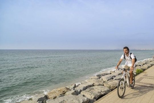 Barcelona eBike Beach Route to the Vineyards with Wine Tasting & Picnic