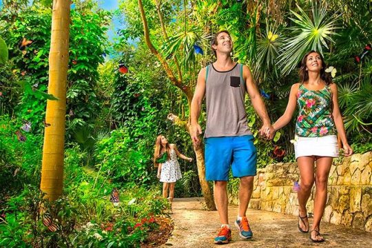 Tour Xcaret All Inclusive from Playa del Carmen - Included Transportation