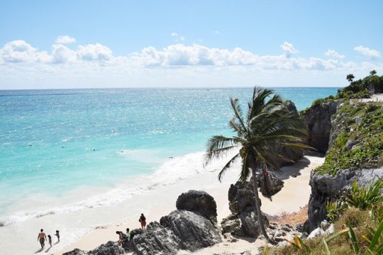 Tulum Ruins, Turtles in Akumal and Cenote tour