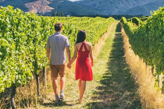 Napa Vally Wine Tour and 1 Day Big Bus Tour