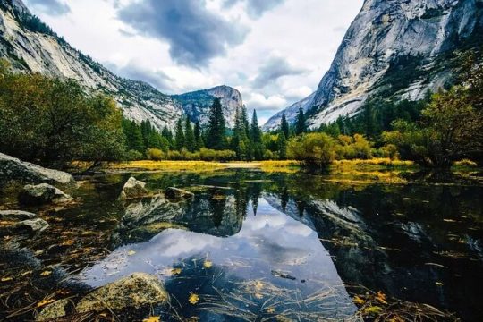 From SFO-Yosemite National Park-Enchanting Full Day Tour in SUV