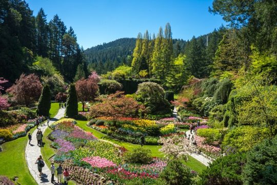 Discover Victoria & Butchart Gardens Tour - From Vancouver