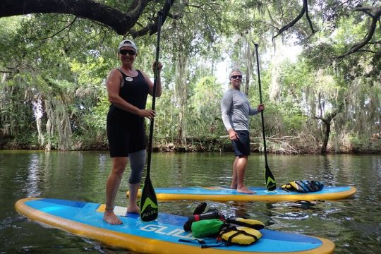 Paddle and Brew Adventure at Tavares in Florida