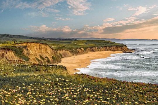 Private Half Moon Bay Coastal Delights Driving Tour