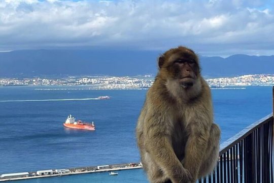 Gibraltar Private Daytrip From Malaga