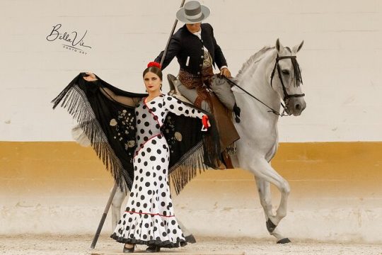 Horse and Flamenco Show in Malaga with Dinner