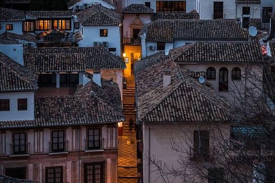 Granada: Albaicin and Sacromonte Private Tour