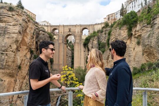 Ronda and Olive Oil Tasting: Small Group Day Trip from Malaga