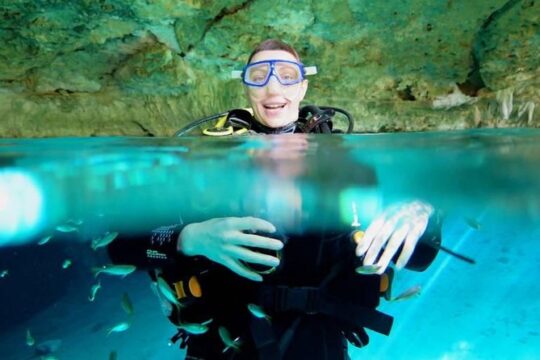 Cenotes diving from Riviera Maya