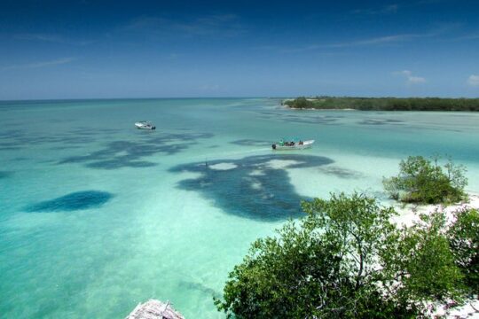 Holbox Island Paradise Tour from Playa del Carmen