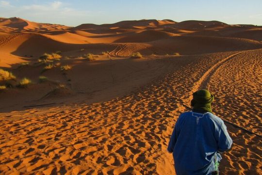 8-Day Tour Morocco, the Great Desert from Costa del Sol