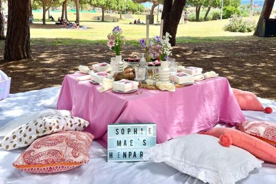 Group / Hen Party Picnic