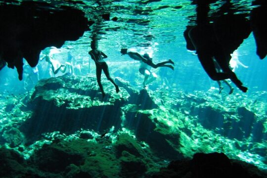 TOUR CENOTE AND SNORKELING WITH TURTLES (Private)
