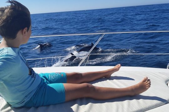 2 Hours Dolphin Watching in Marbella