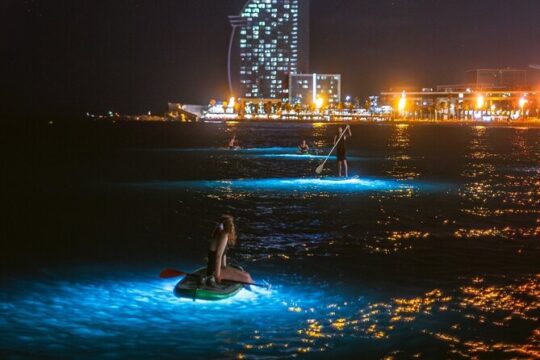 Paddle Surf Night with Light and Cava