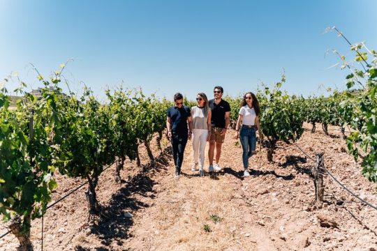 Ronda Tour & Winery Experience with Wine Tasting from Malaga