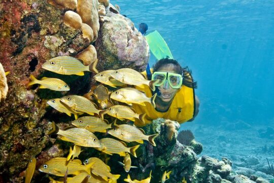 Full-Day Snorkel Extreme Adventure Tour from Riviera Maya