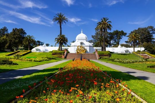 Golden Gate Park Walking Tour with California Academy of Sciences