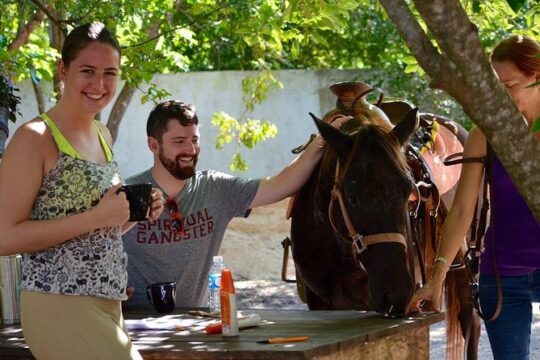 Award-winning Classic Horseback Ride (max. 6 riders)