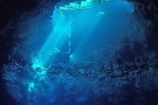 Cenotes 2-Tank Dive in Playa del Carmen/for certified divers only