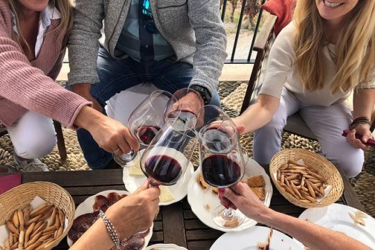 VIP Ronda Wine Tour and Tasting and Gourmet Lunch Experience with Winemaker