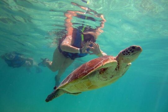 Private Experience: Akumal sea turtles encounter and Yal-kú lagoon colorfull fish snorkel.