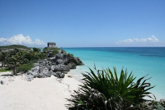 Coba, Tulum, Cenote Combo Tour