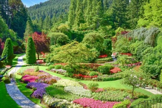 Day Trip from Vancouver to Victoria and Butchart Gardens