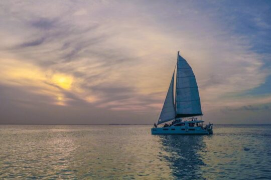 Sunset Catamaran Sailing