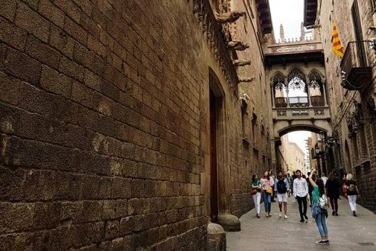Walking tour of the Gothic Quarter of Barcelona + Cathedral