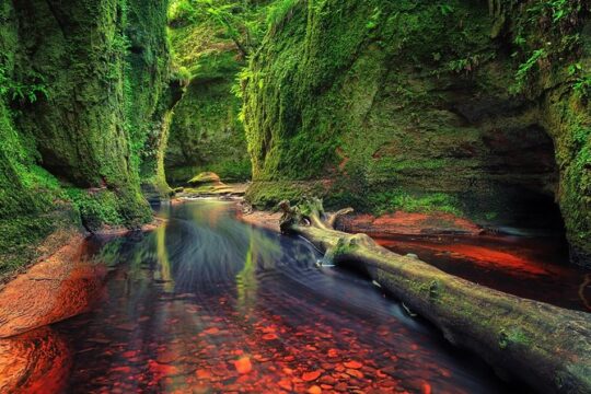 Find a hidden Glen in Scotland's woods